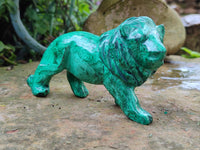 Polished Flower Banded Malachite Lions x 2 From Congo