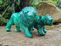 Polished Flower Banded Malachite Lions x 2 From Congo