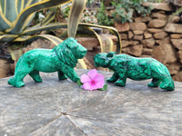 Polished Flower Banded Malachite Lions x 2 From Congo