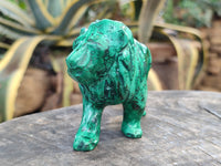 Polished Flower Banded Malachite Lions x 2 From Congo