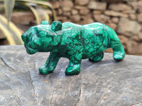 Polished Flower Banded Malachite Lions x 2 From Congo