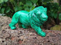 Polished Flower Banded Malachite Lions x 2 From Congo