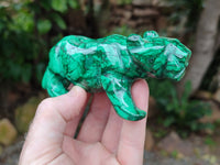 Polished Flower Banded Malachite Lions x 2 From Congo