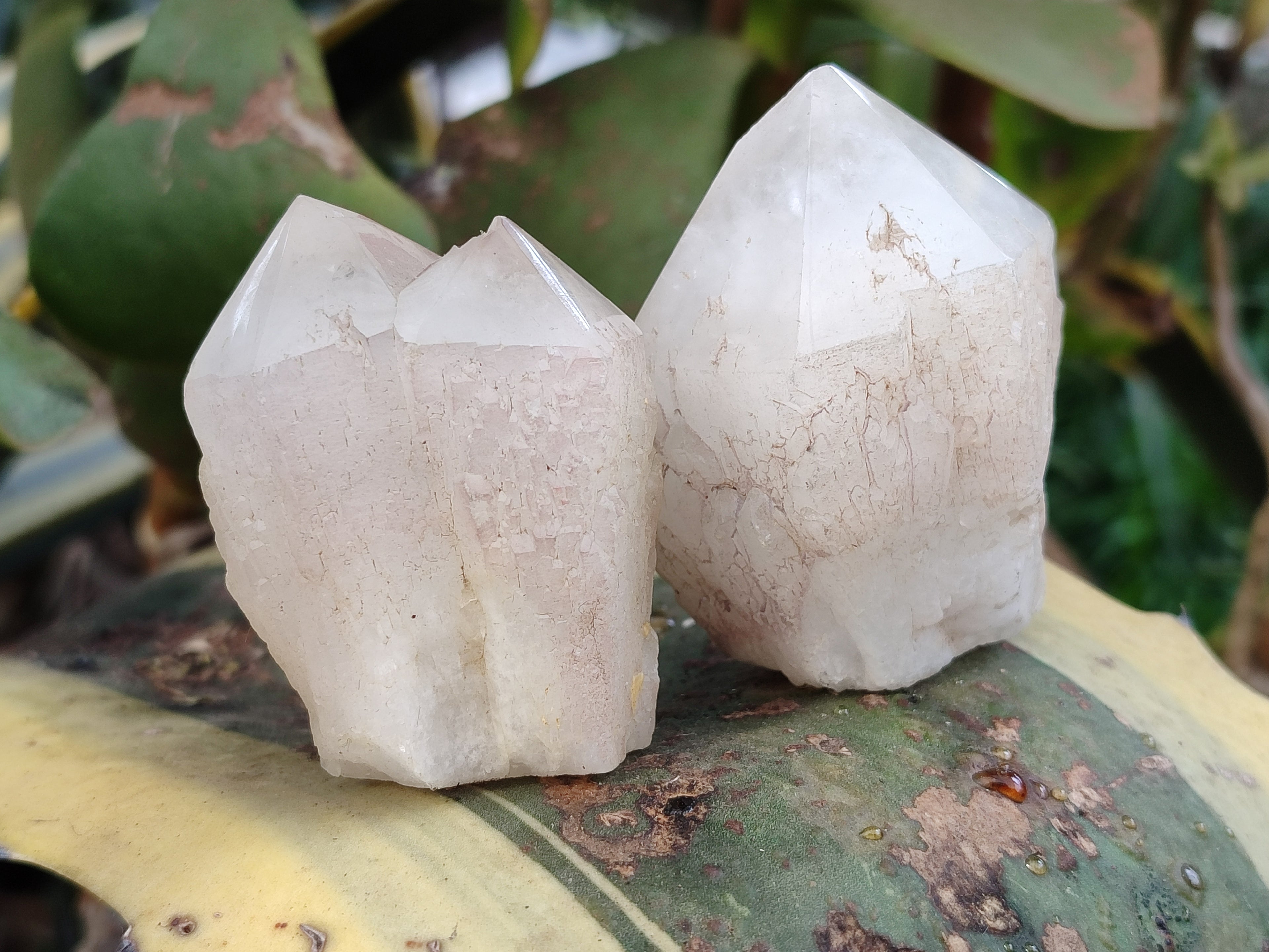 Polished White Candle Quartz Crystals x 15 From Madagascar - Toprock Gemstones and Minerals 