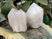 Polished White Candle Quartz Crystals x 15 From Madagascar