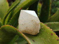 Polished White Candle Quartz Crystals x 15 From Madagascar
