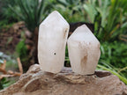 Polished White Candle Quartz Crystals x 15 From Madagascar - Toprock Gemstones and Minerals 
