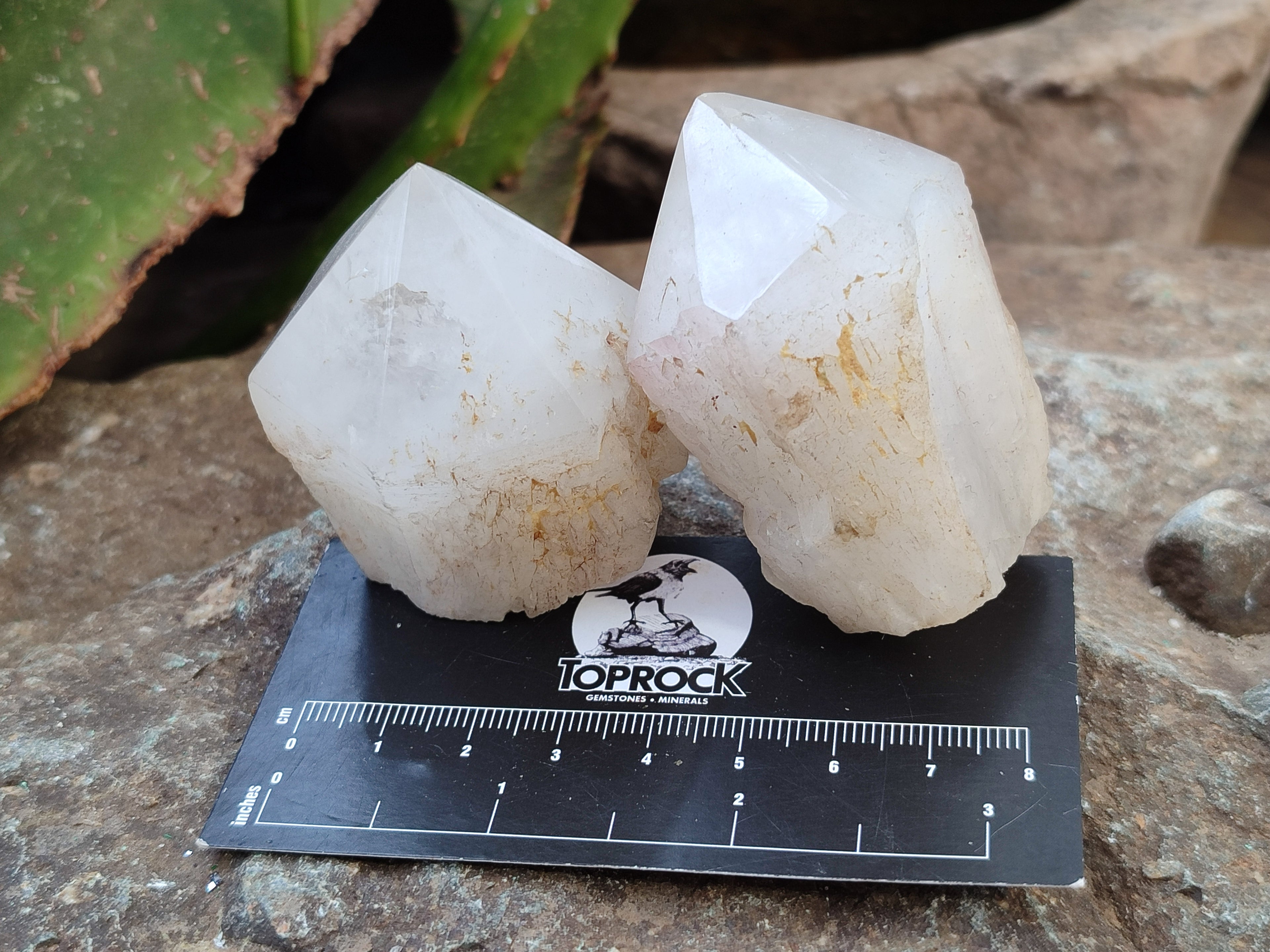 Polished White Candle Quartz Crystals x 15 From Madagascar - Toprock Gemstones and Minerals 