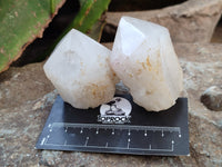 Polished White Candle Quartz Crystals x 15 From Madagascar