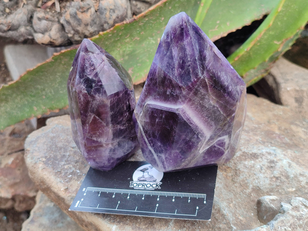 Polished Chevron Amethyst Points x 3 From Zambia - Toprock Gemstones and Minerals 