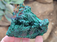 Natural Silky Malachite Specimens x 6 From Kasompe, Congo - Toprock Gemstones and Minerals 