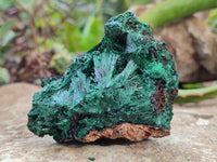 Natural Silky Malachite Specimens x 6 From Kasompe, Congo - Toprock Gemstones and Minerals 