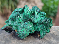 Natural Silky Malachite Specimens x 6 From Kasompe, Congo - Toprock Gemstones and Minerals 