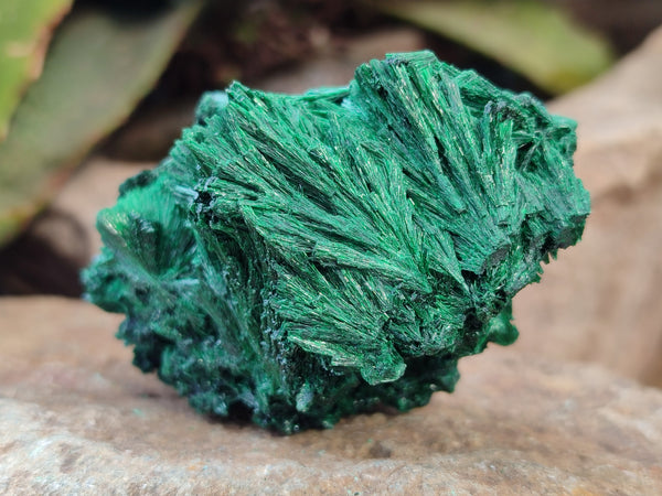 Natural Silky Malachite Specimens x 6 From Kasompe, Congo - Toprock Gemstones and Minerals 