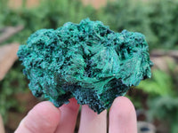 Natural Silky Malachite Specimens x 6 From Kasompe, Congo - Toprock Gemstones and Minerals 