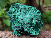 Natural Silky Malachite Specimens x 6 From Kasompe, Congo - Toprock Gemstones and Minerals 