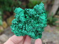 Natural Silky Malachite Specimens x 6 From Kasompe, Congo - Toprock Gemstones and Minerals 