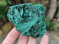 Natural Silky Malachite Specimens x 6 From Kasompe, Congo - Toprock Gemstones and Minerals 