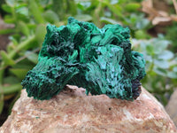 Natural Silky Malachite Specimens x 6 From Kasompe, Congo - Toprock Gemstones and Minerals 