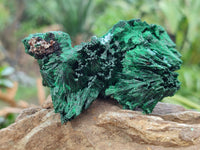 Natural Silky Malachite Specimens x 6 From Kasompe, Congo - Toprock Gemstones and Minerals 