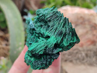 Natural Silky Malachite Specimens x 6 From Kasompe, Congo - Toprock Gemstones and Minerals 