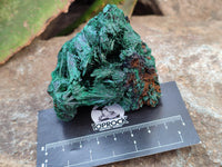Natural Silky Malachite Specimens x 6 From Kasompe, Congo - Toprock Gemstones and Minerals 
