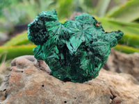 Natural Silky Malachite Specimens x 6 From Kasompe, Congo - Toprock Gemstones and Minerals 