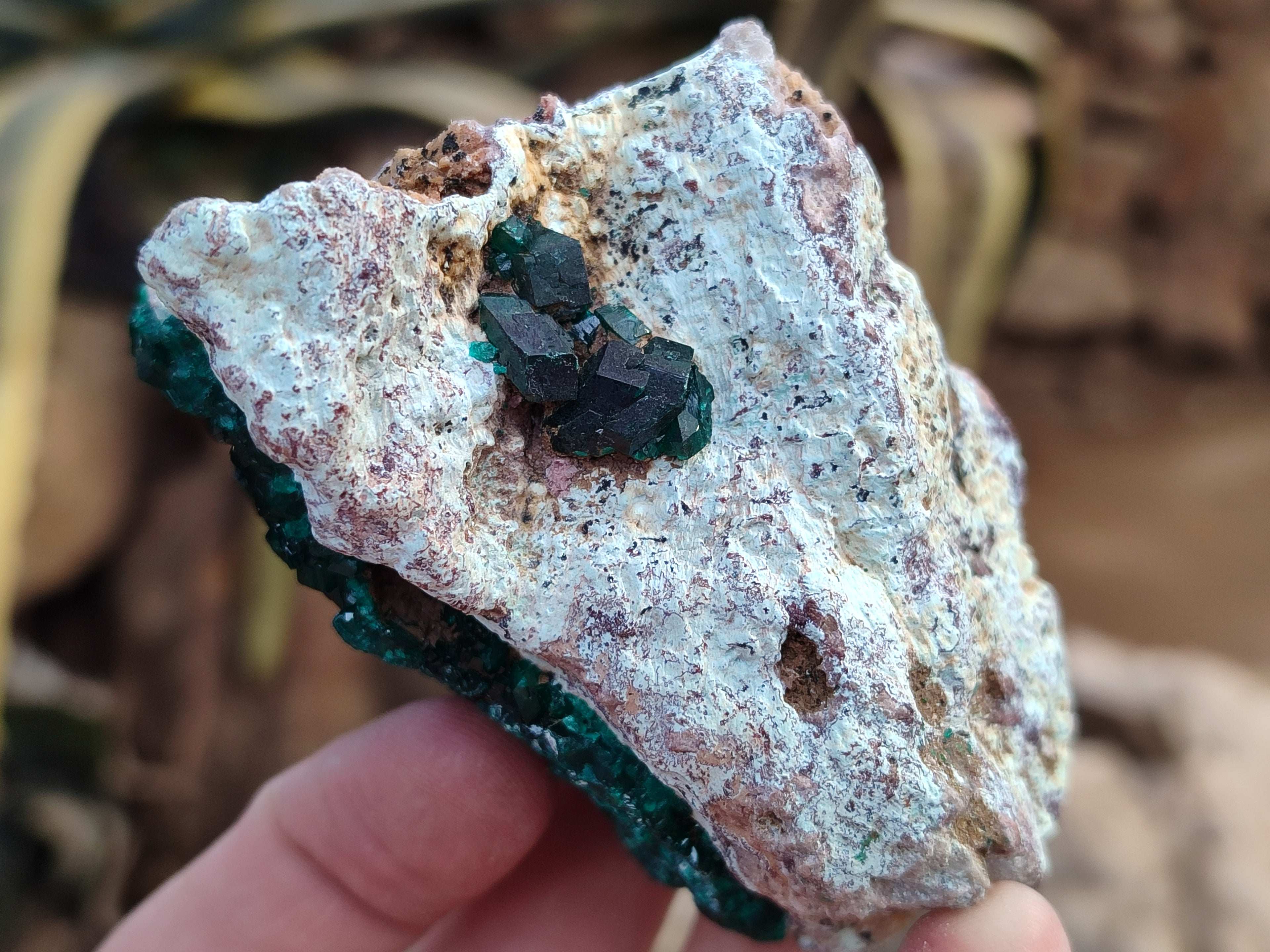 Natural Rare Dioptase with Fibrous Malachite Specimens x 4 From Likasi, Congo - Toprock Gemstones and Minerals 