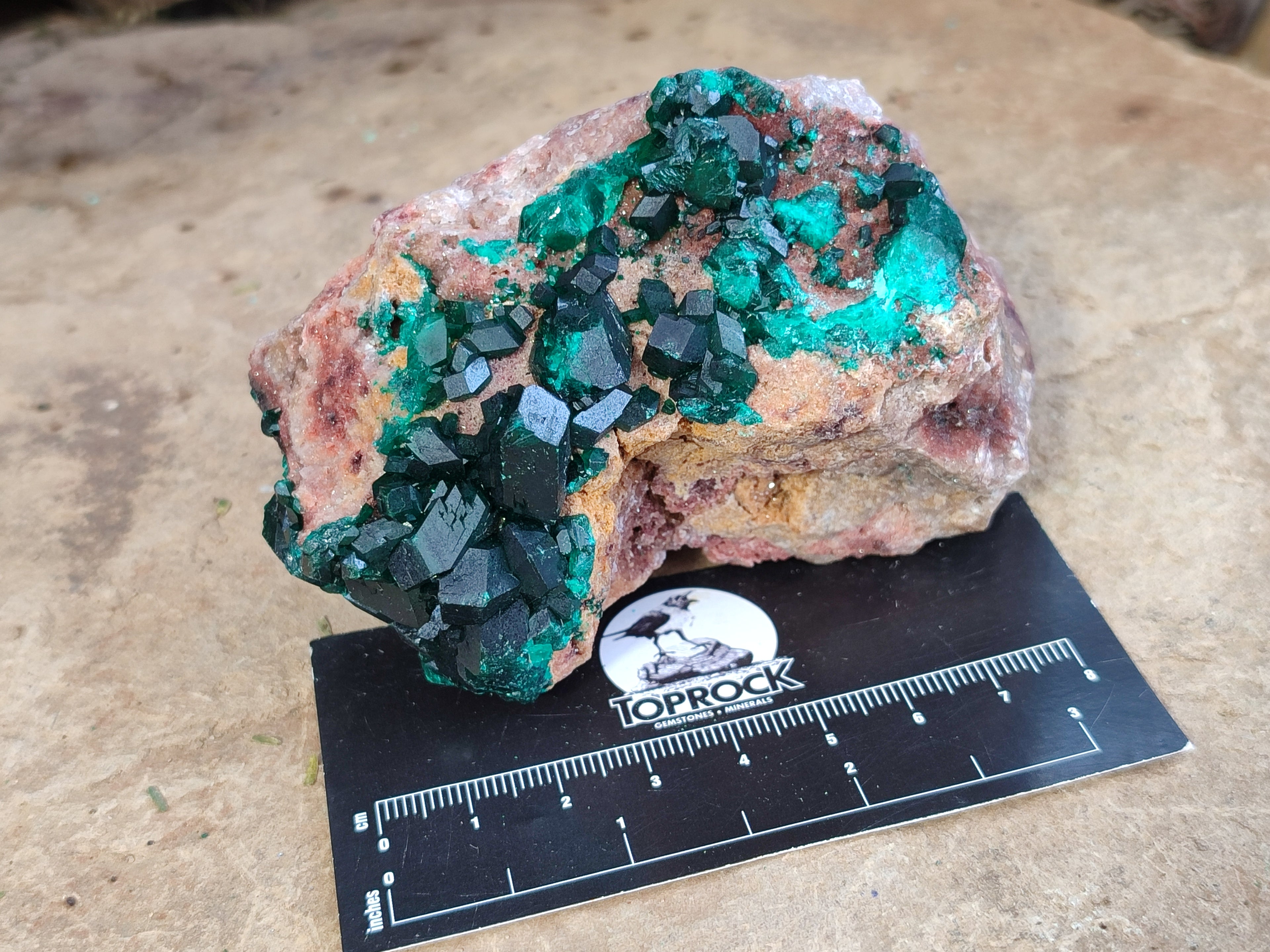 Natural Rare Dioptase with Fibrous Malachite Specimens x 4 From Likasi, Congo - Toprock Gemstones and Minerals 