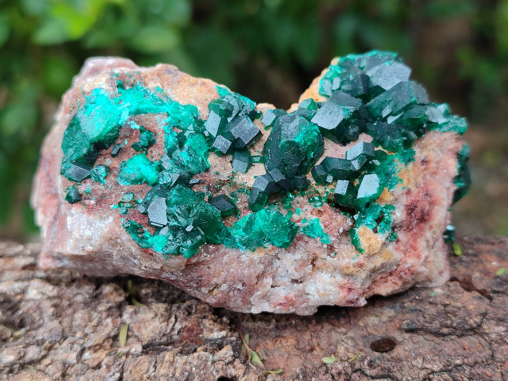 Natural Rare Dioptase with Fibrous Malachite Specimens x 4 From Likasi, Congo - Toprock Gemstones and Minerals 
