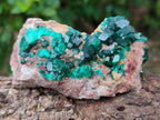 Natural Rare Dioptase with Fibrous Malachite Specimens x 4 From Likasi, Congo - Toprock Gemstones and Minerals 