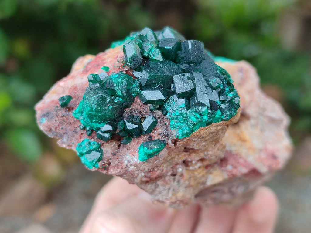 Natural Rare Dioptase with Fibrous Malachite Specimens x 4 From Likasi, Congo - Toprock Gemstones and Minerals 