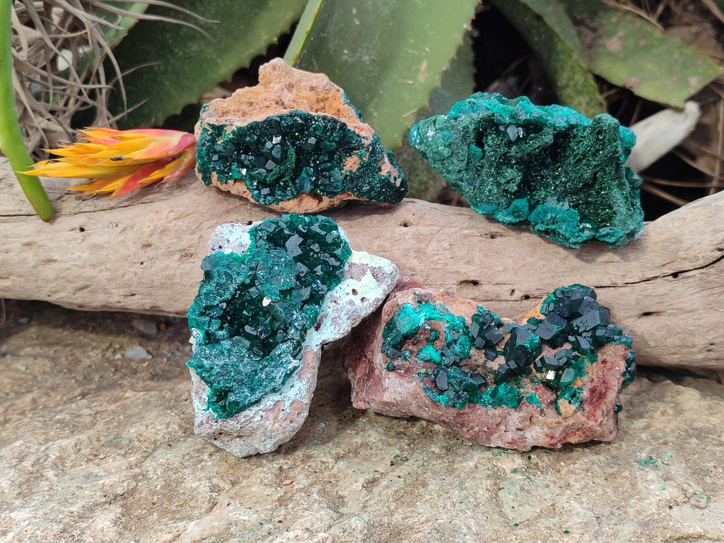 Natural Rare Dioptase with Fibrous Malachite Specimens x 4 From Likasi, Congo - Toprock Gemstones and Minerals 