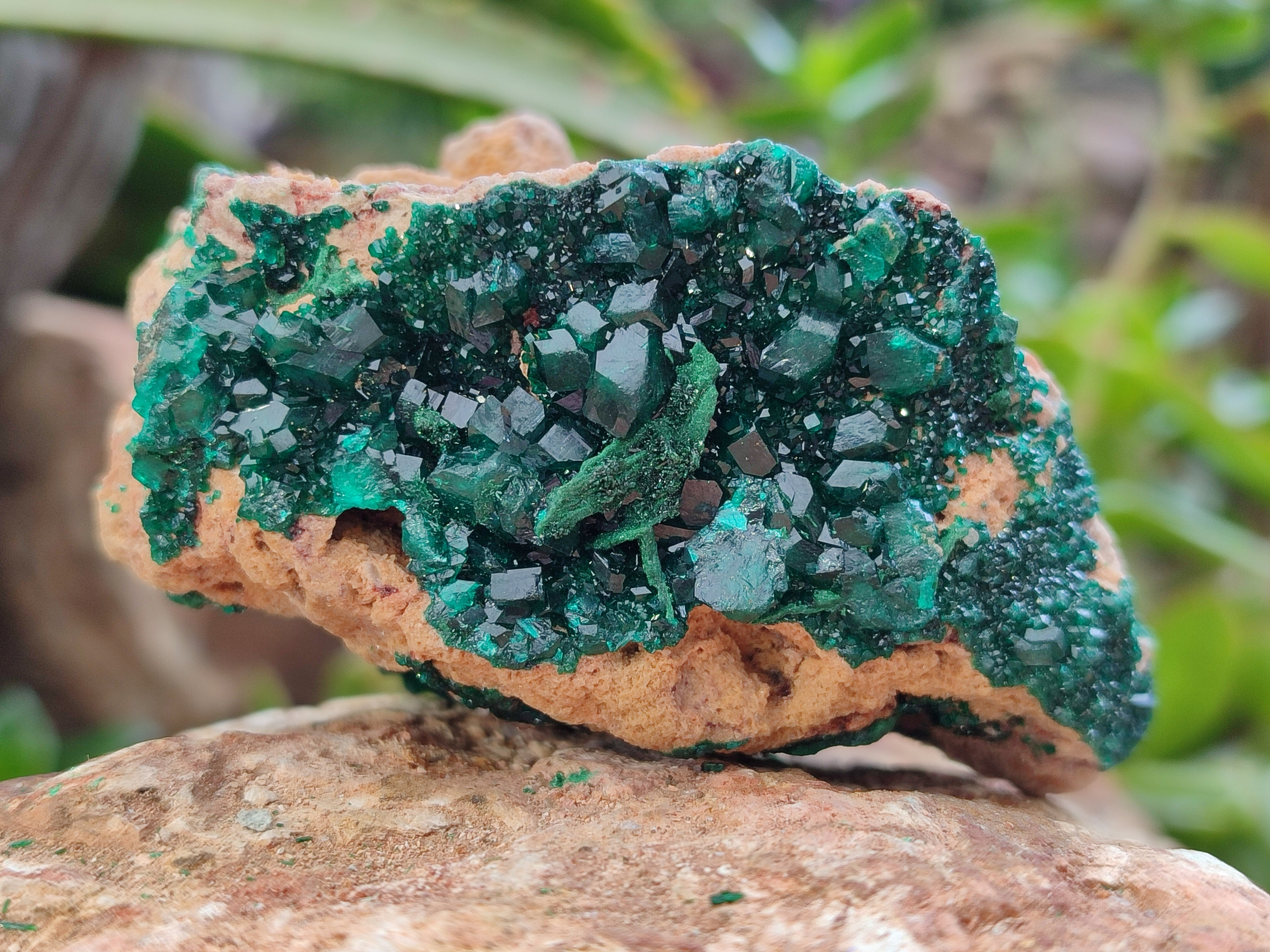 Natural Rare Dioptase with Fibrous Malachite Specimens x 4 From Likasi, Congo - Toprock Gemstones and Minerals 