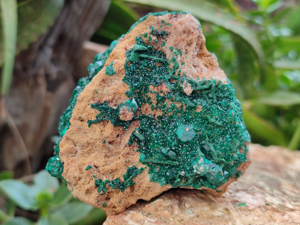 Natural Rare Dioptase with Fibrous Malachite Specimens x 4 From Likasi, Congo - Toprock Gemstones and Minerals 