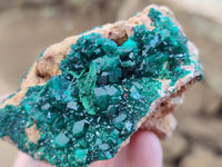 Natural Rare Dioptase with Fibrous Malachite Specimens x 4 From Likasi, Congo