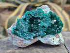 Natural Rare Dioptase with Fibrous Malachite Specimens x 4 From Likasi, Congo - Toprock Gemstones and Minerals 