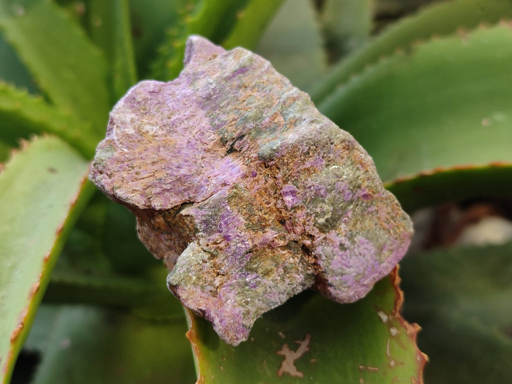 Natural Stichtite Cobbed Specimens x 2.02 Kg Lot - From Barberton, South Africa - Toprock Gemstones and Minerals 
