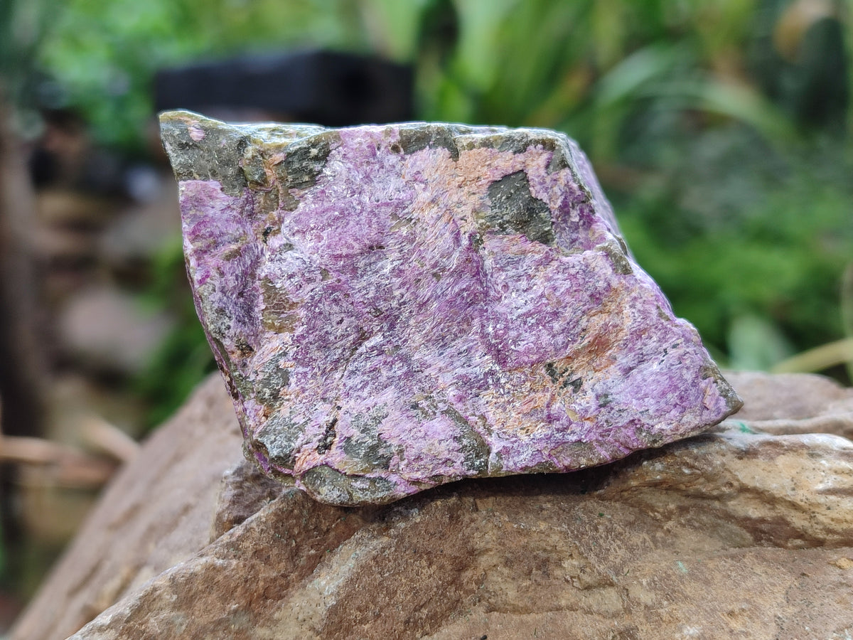 Natural Stichtite Cobbed Specimens x 2.02 Kg Lot - From Barberton, South Africa - Toprock Gemstones and Minerals 