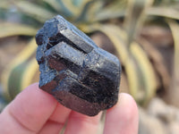 Natural Black Tourmaline Double Terminated Crystals x 24 From Zimbabwe