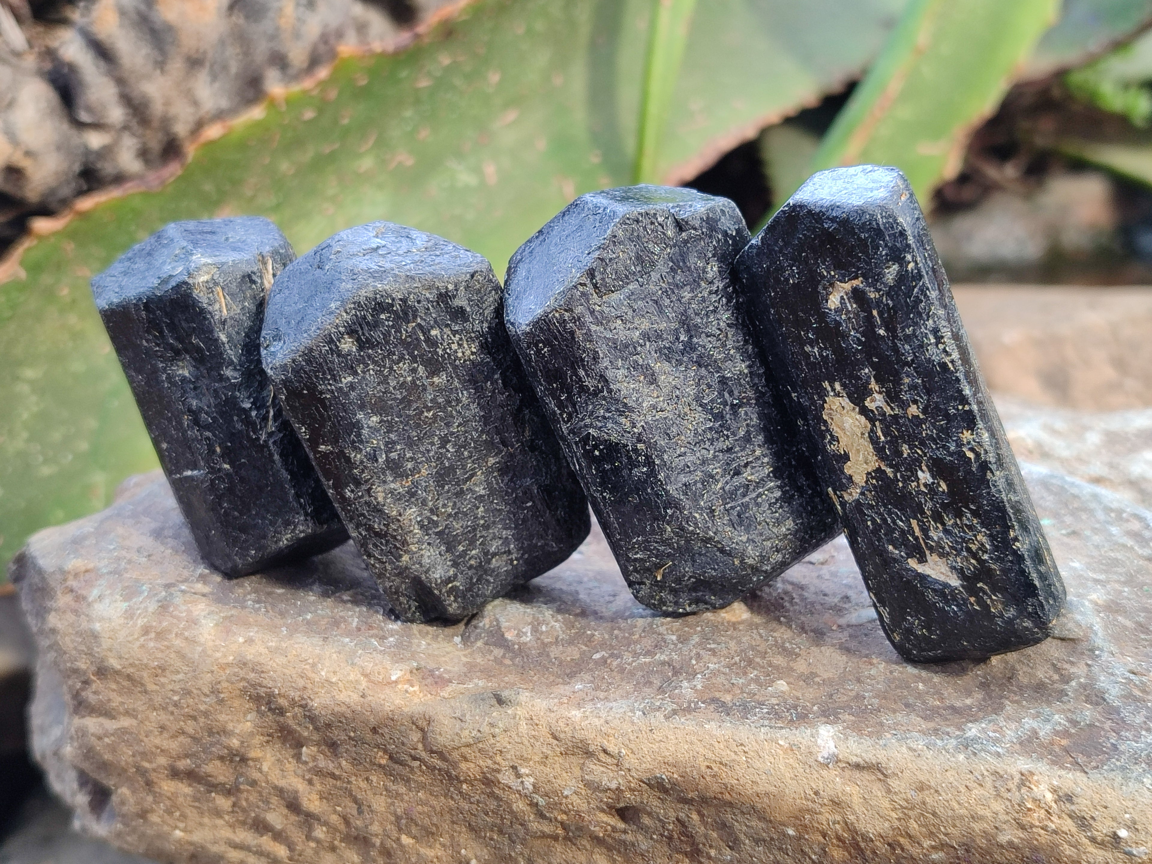 Natural Black Tourmaline Double Terminated Crystals x 24 From Zimbabwe - Toprock Gemstones and Minerals 