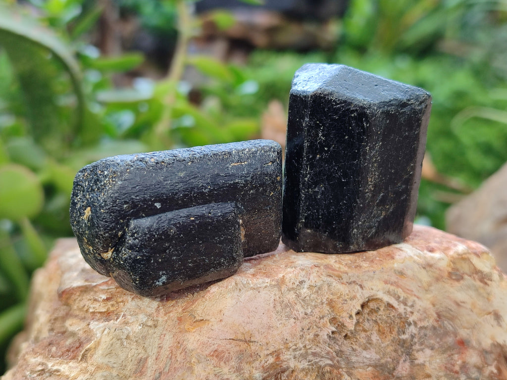 Natural Black Tourmaline Double Terminated Crystals x 24 From Zimbabwe - Toprock Gemstones and Minerals 