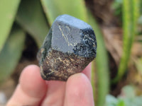 Natural Black Tourmaline Double Terminated Crystals x 24 From Zimbabwe