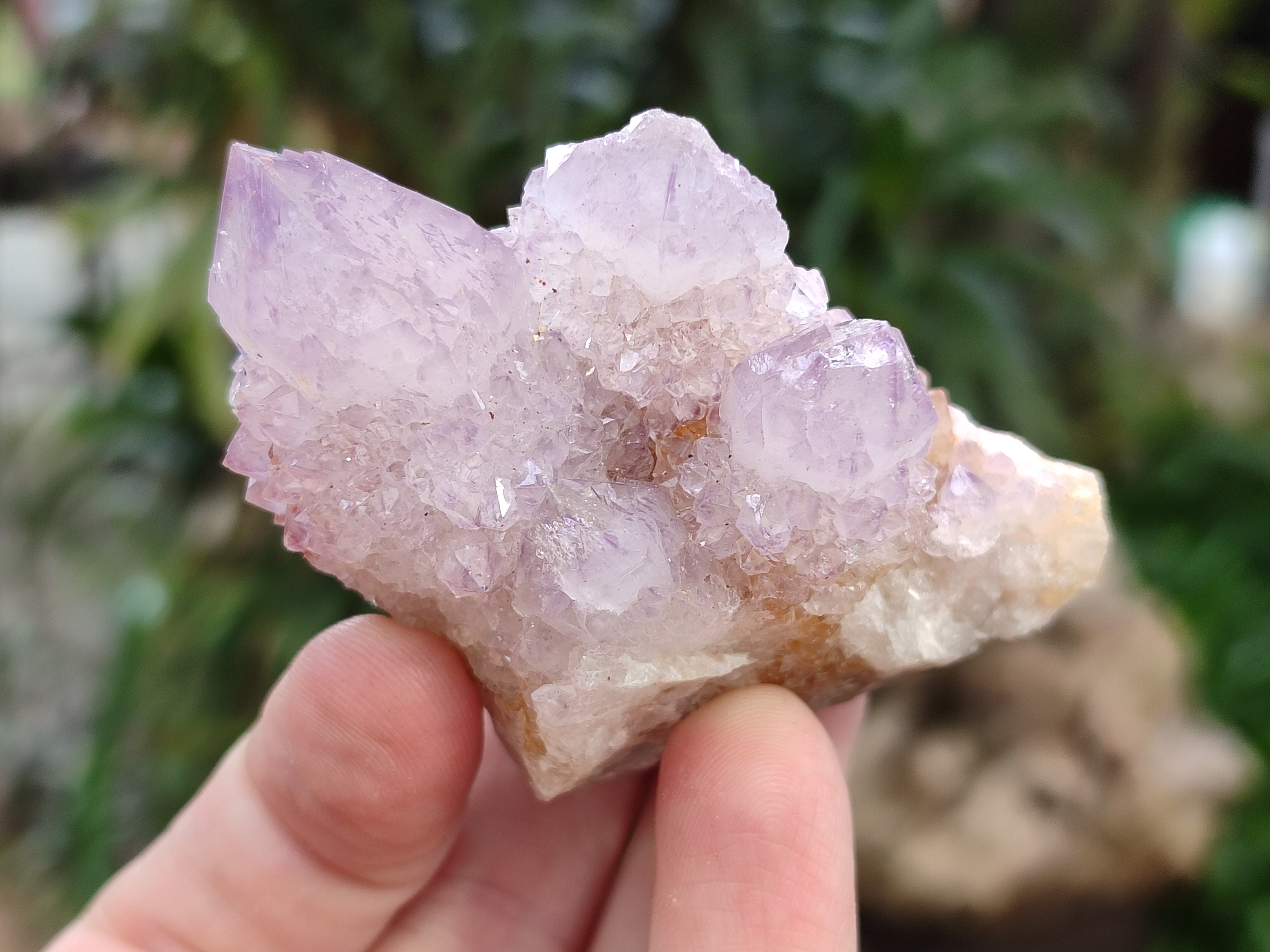 Natural Amethyst Spirit Quartz Crystals x 12 From Boekenhouthoek, South Africa - Toprock Gemstones and Minerals 