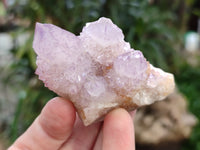 Natural Amethyst Spirit Quartz Crystals x 12 From Boekenhouthoek, South Africa