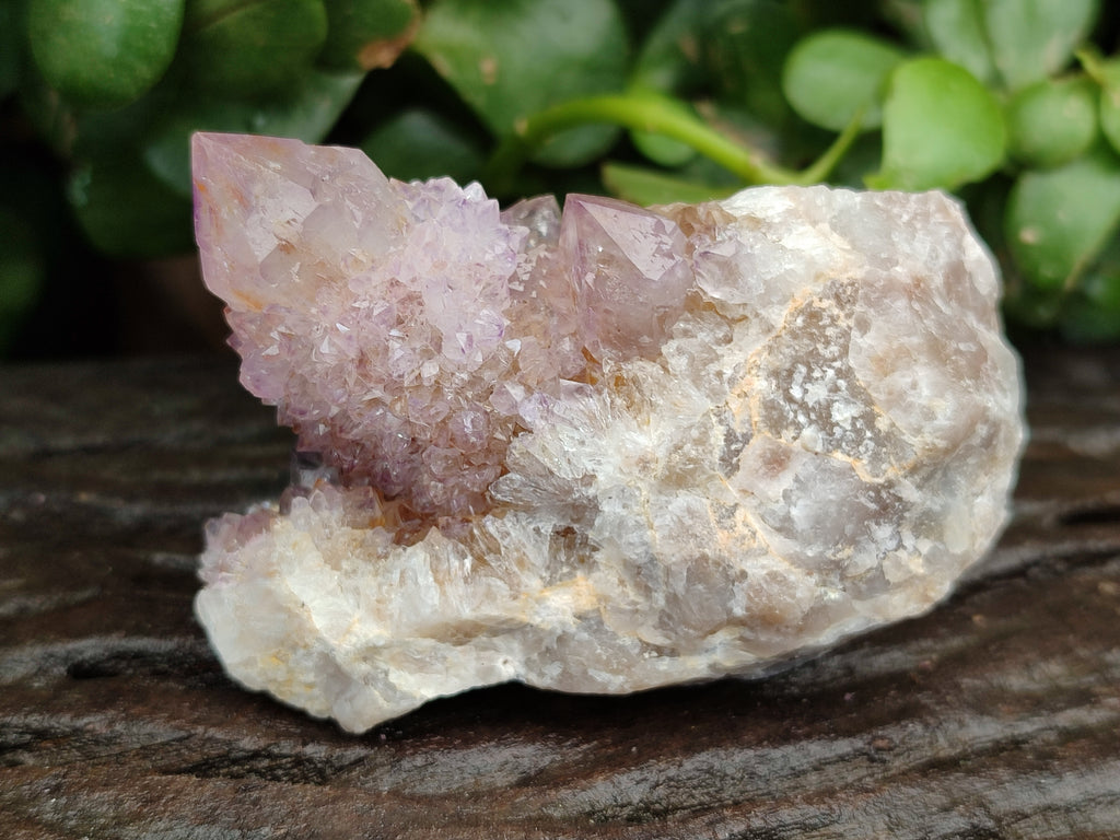 Natural Amethyst Spirit Quartz Crystals x 12 From Boekenhouthoek, South Africa - Toprock Gemstones and Minerals 