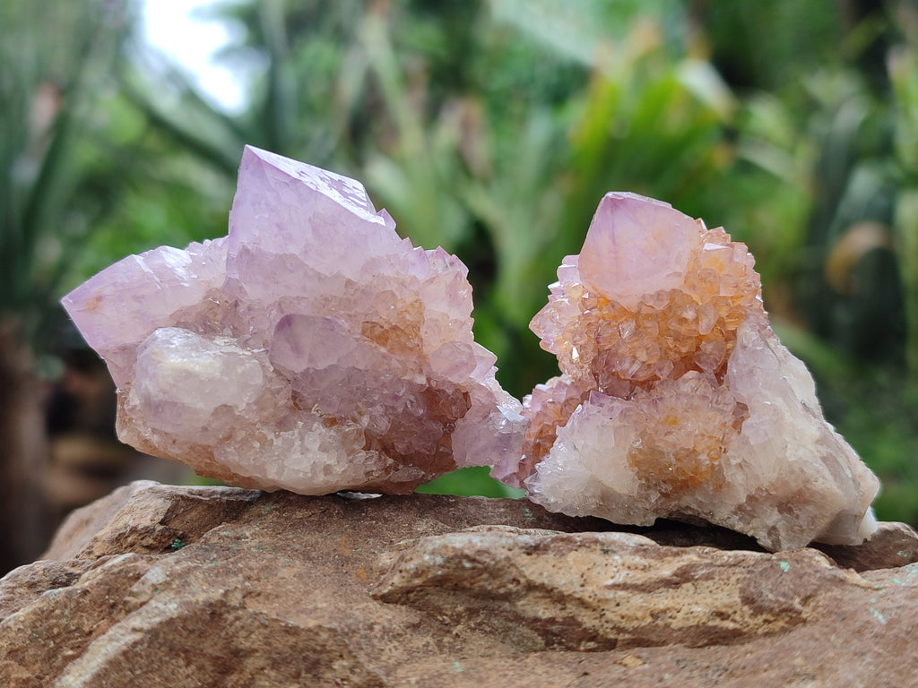 Natural Amethyst Spirit Quartz Crystals x 12 From Boekenhouthoek, South Africa - Toprock Gemstones and Minerals 