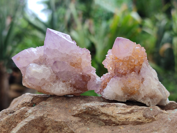 Natural Amethyst Spirit Quartz Crystals x 12 From Boekenhouthoek, South Africa