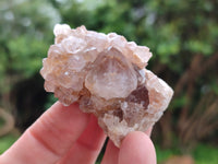 Natural Amethyst Spirit Quartz Crystals x 45 From Boekenhouthoek, South Africa