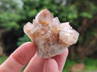 Natural Amethyst Spirit Quartz Crystals x 45 From Boekenhouthoek, South Africa